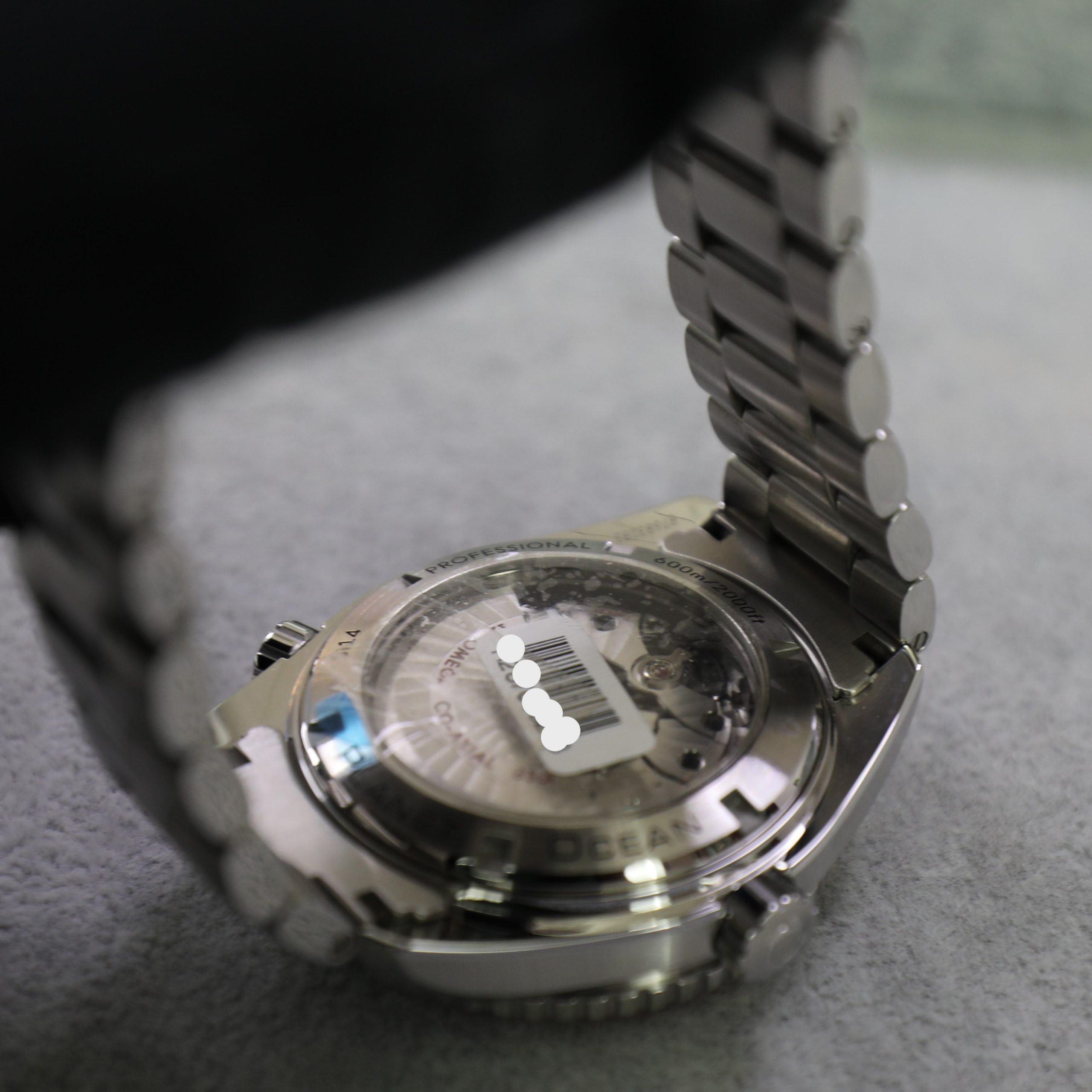 IMGL8790-scaled-1.jpg