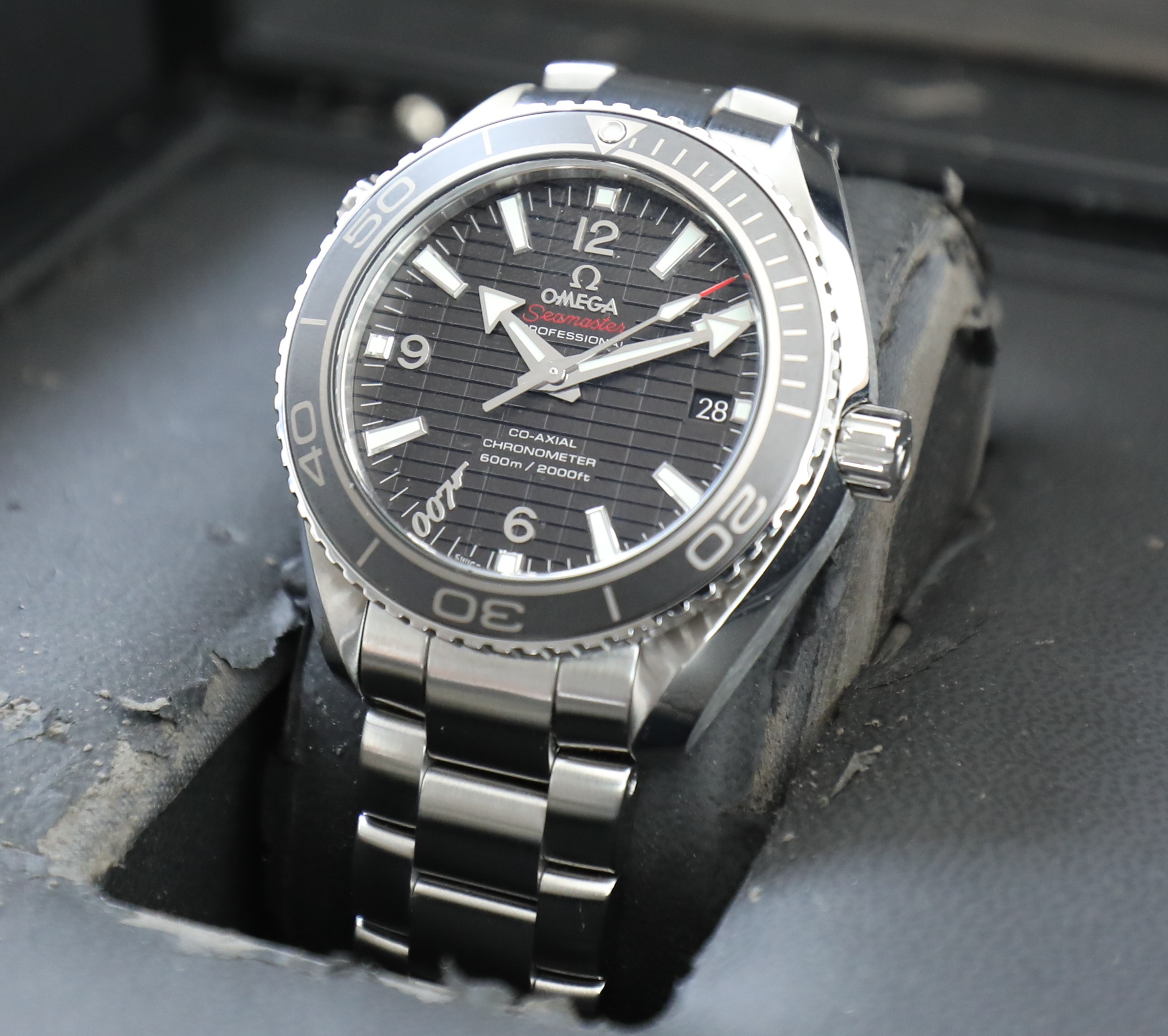 IMGL5495